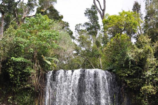 Millaa Millaa falls 3