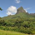 Moorea 4
