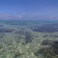 Moorea 9