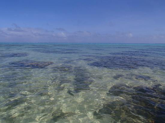 Moorea 9