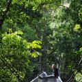 Mossman Gorge 1