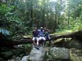 Mossman Gorge 10