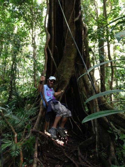 Mossman Gorge 11