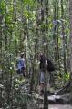 Mossman Gorge 14