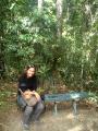 Mossman Gorge 6