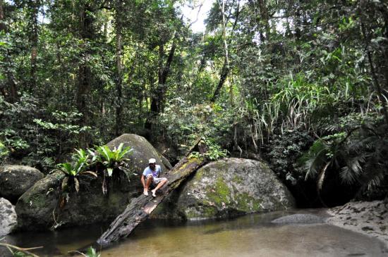 Mossman Gorge 9