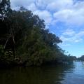 Noosa 12