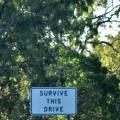 On the road 3