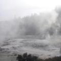 Orakei 1
