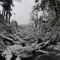 Pucon 2
