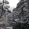 Pucon 3