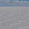 Salar 03