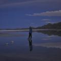 Salar 17