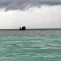 Shark Bay 02