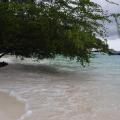 Shark Bay 03