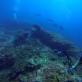 Similans 03