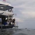 Similans Islands 05