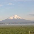 Taranaki 3
