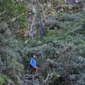 Taranaki 5