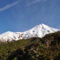 Taranaki 6