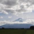 Taranaki 9