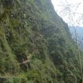 Trek Machu 5
