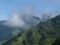 Vallee de Cocora 2