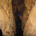 Waitomo 12