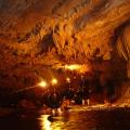 Waitomo 6