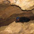 Waitomo 7