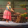 Wrestling 01