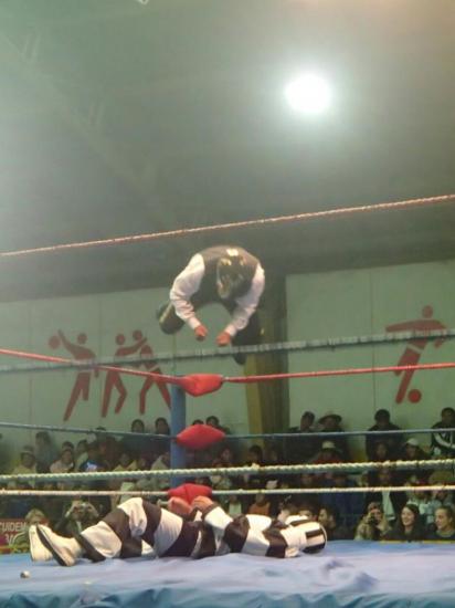 Wrestling 03