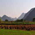Yangshuo 04