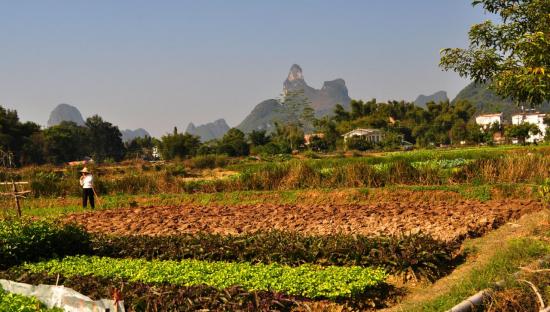 Yangshuo 07